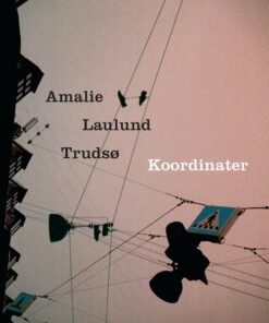 Koordinater - Amalie Laulund Trudsø - Bog