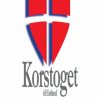 Korstoget til Estland (E-bog)