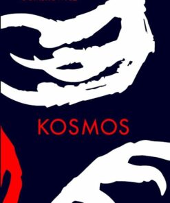 Kosmos - Witold Gombrowicz - Bog