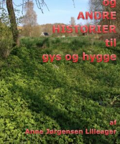 Kriminoveller Og Andre Historier Til Gys Og Hygge - Anne Jørgensen Lilleager - Bog