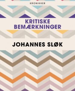Kritiske bemærkninger (E-bog)
