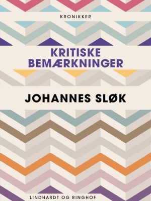 Kritiske bemærkninger (E-bog)