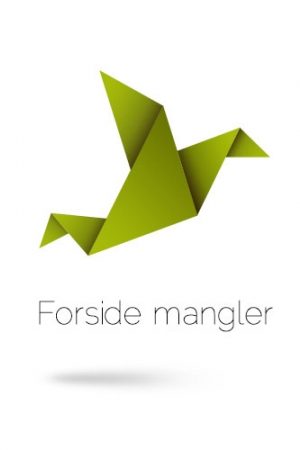 Kromann - en familiekrønike fra Marstal (Bog)