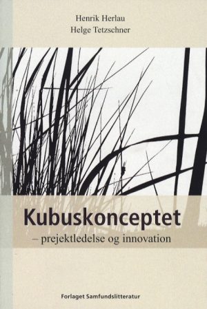 Kubuskonceptet (Bog)