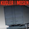 Kugler i mosen (E-bog)