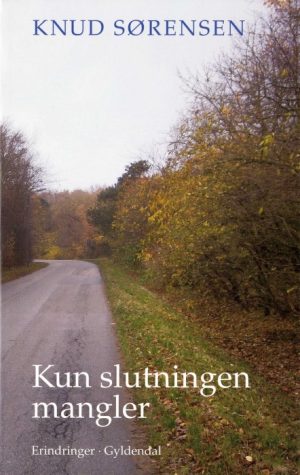 Kun slutningen mangler (E-bog)