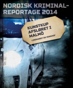 Kunstkup afsløret i Malmö (E-bog)
