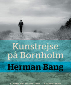 Kunstrejse på Bornholm (E-bog)