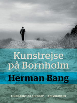 Kunstrejse på Bornholm (E-bog)