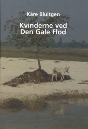 Kvinderne ved Den Gale Flod (E-bog)