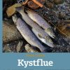Kystflue - Steen Ulnits - Bog