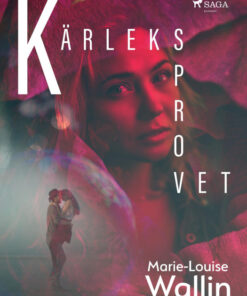 Kärleksprovet (E-bog)