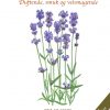 LAVENDEL (Bog)
