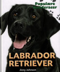 Labrador retriever (Bog)