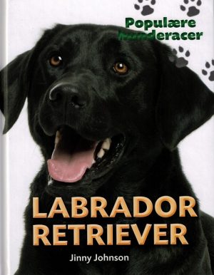 Labrador retriever (Bog)