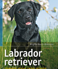 Labrador retriever (Bog)