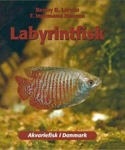 Labyrintfisk (Bog)