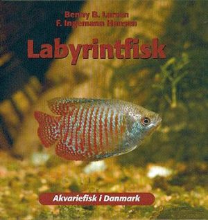 Labyrintfisk (Bog)
