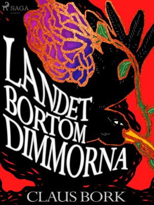 Landet bortom dimmorna (E-bog)