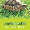 Landskildpadder (Bog)