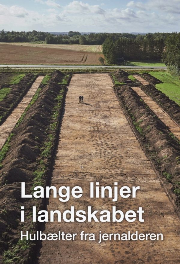 Lange Linjer I Landskabet - Diverse - Bog