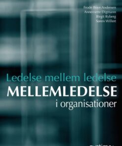 Ledelse mellem ledelse (Bog)