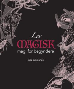 Lev magisk - magi for begyndere (E-bog)