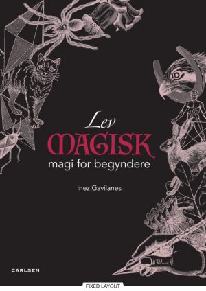 Lev magisk - magi for begyndere (E-bog)