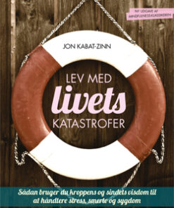Lev med livets katastrofer, 2. udgave (E-bog)