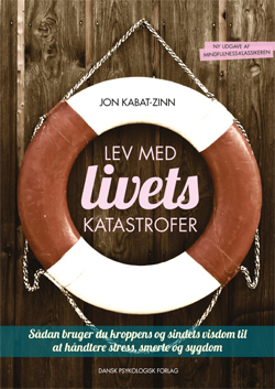 Lev med livets katastrofer, 2. udgave (E-bog)