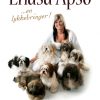 Lhasa Apso (Bog)