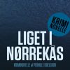 Liget i Nørrekås (E-bog)