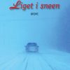 Liget i sneen (Bog)