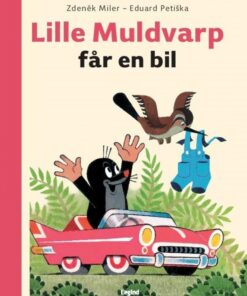 Lille Muldvarp får en bil (Bog)