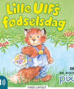 Lille Ulfs fødselsdag (E-bog)