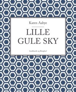 Lille gule sky (E-bog)