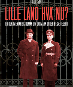 Lille land, hvad nu? (Bog)