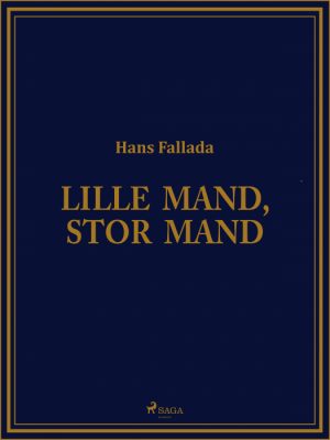 Lille mand, stor mand (Bog)