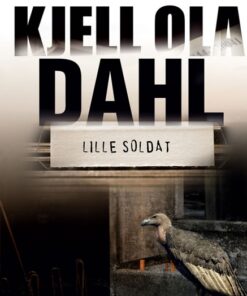 Lille soldat (E-bog)