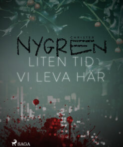 Liten tid vi leva här (E-bog)