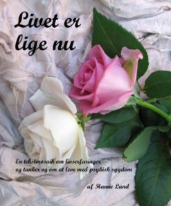 Livet er lige nu (E-bog)