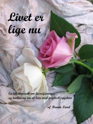 Livet er lige nu (E-bog)