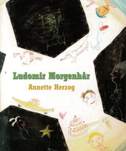 Ludomir Morgenhår (E-bog)