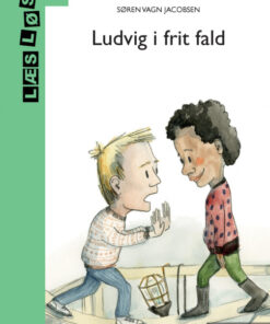 Ludvig i frit fald (E-bog)