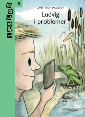 Ludvig i problemer (E-bog)