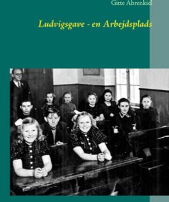 Ludvigsgave - en Arbejdsplads (Bog)