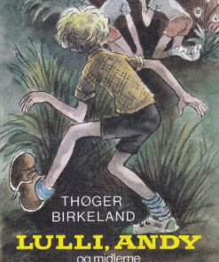 Lulli, Andy og midlerne (E-bog)