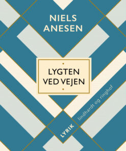 Lygten ved vejen (Bog)