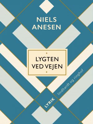 Lygten ved vejen (Bog)