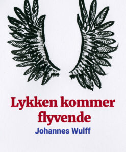 Lykken kommer flyvende (Bog)